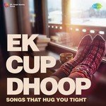 Ek Cup Dhoop - Nadeem-Shravan Song Download